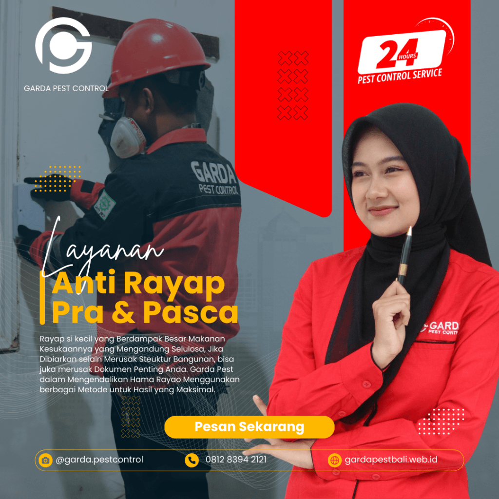 Jasa Pembasmi Rayap di Area Bali Berkualitas