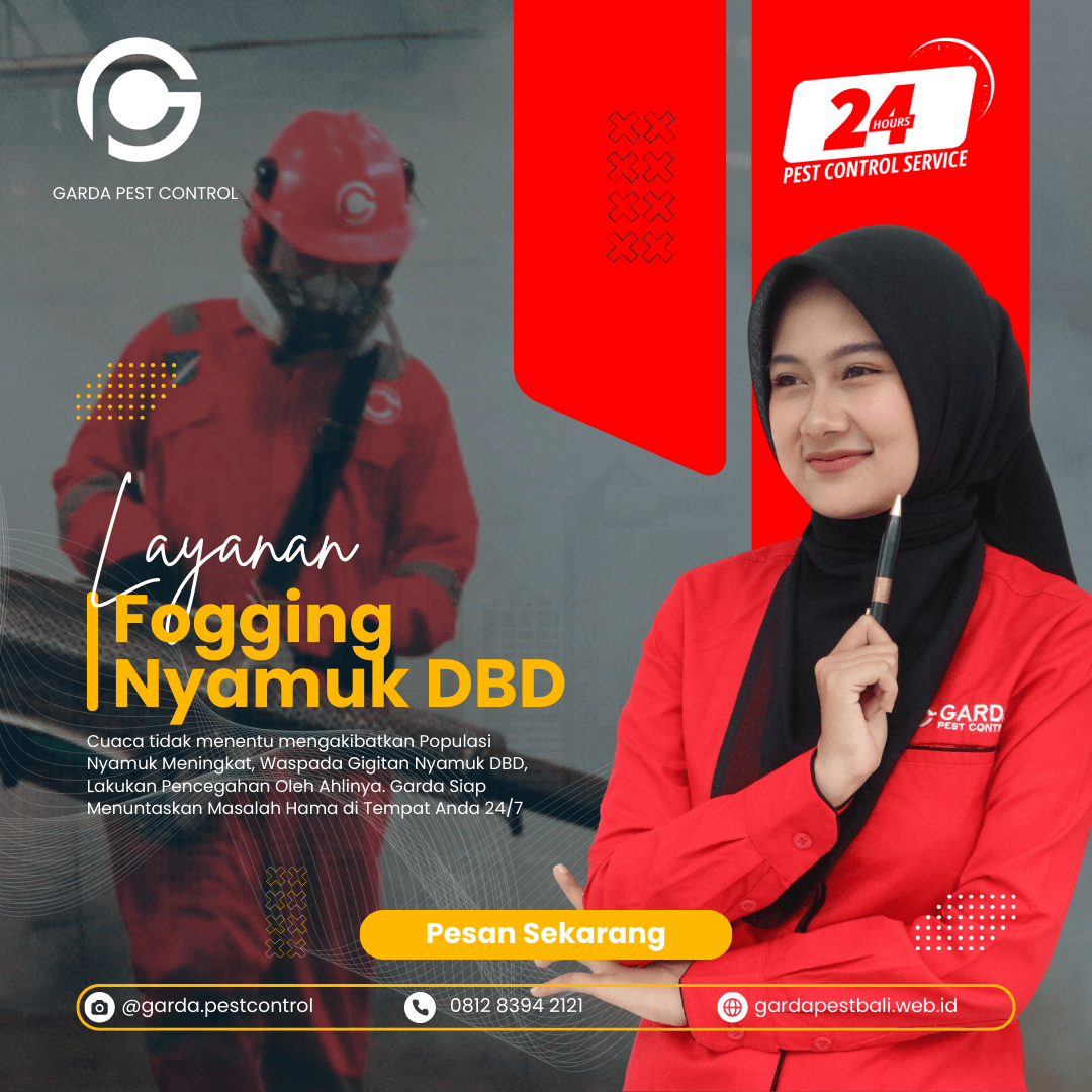 Jasa Fogging Nyamuk di Bali Cepat 24 Jam