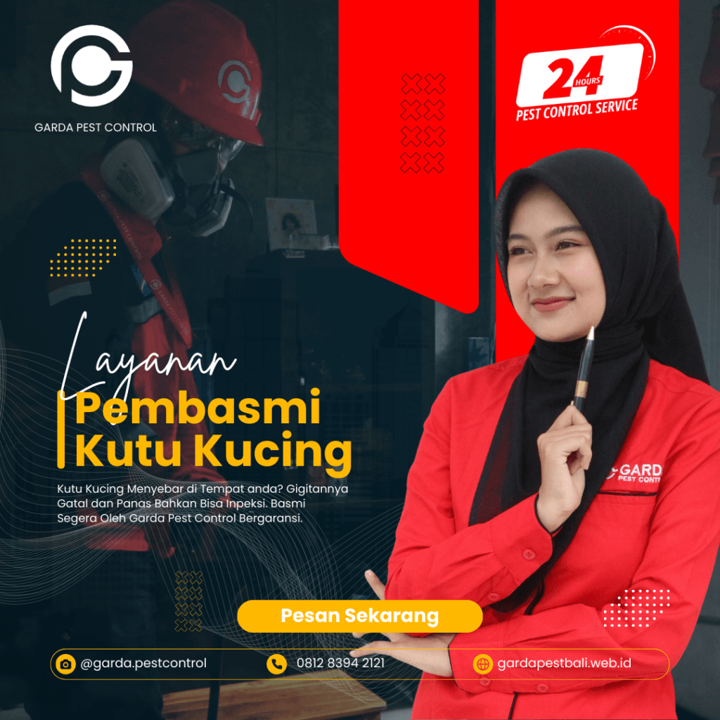 Jasa Pembasmi Kutu Kucing di Denpasar Selatan