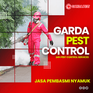 Jasa Fogging Nyamuk Chikungunya di Badung Bali murah