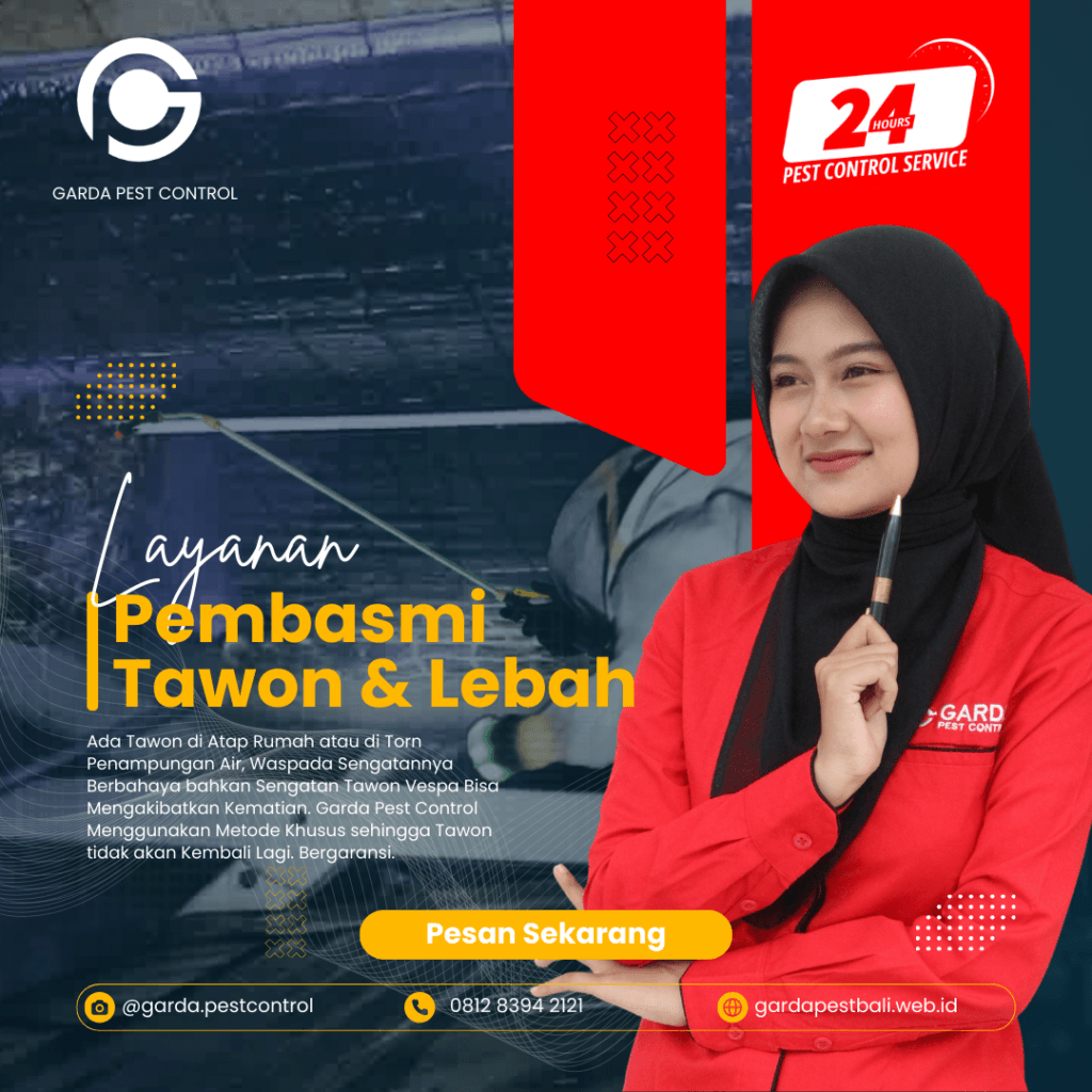 Jasa Pembasmi Sarang Tawon di Bali 24 Jam