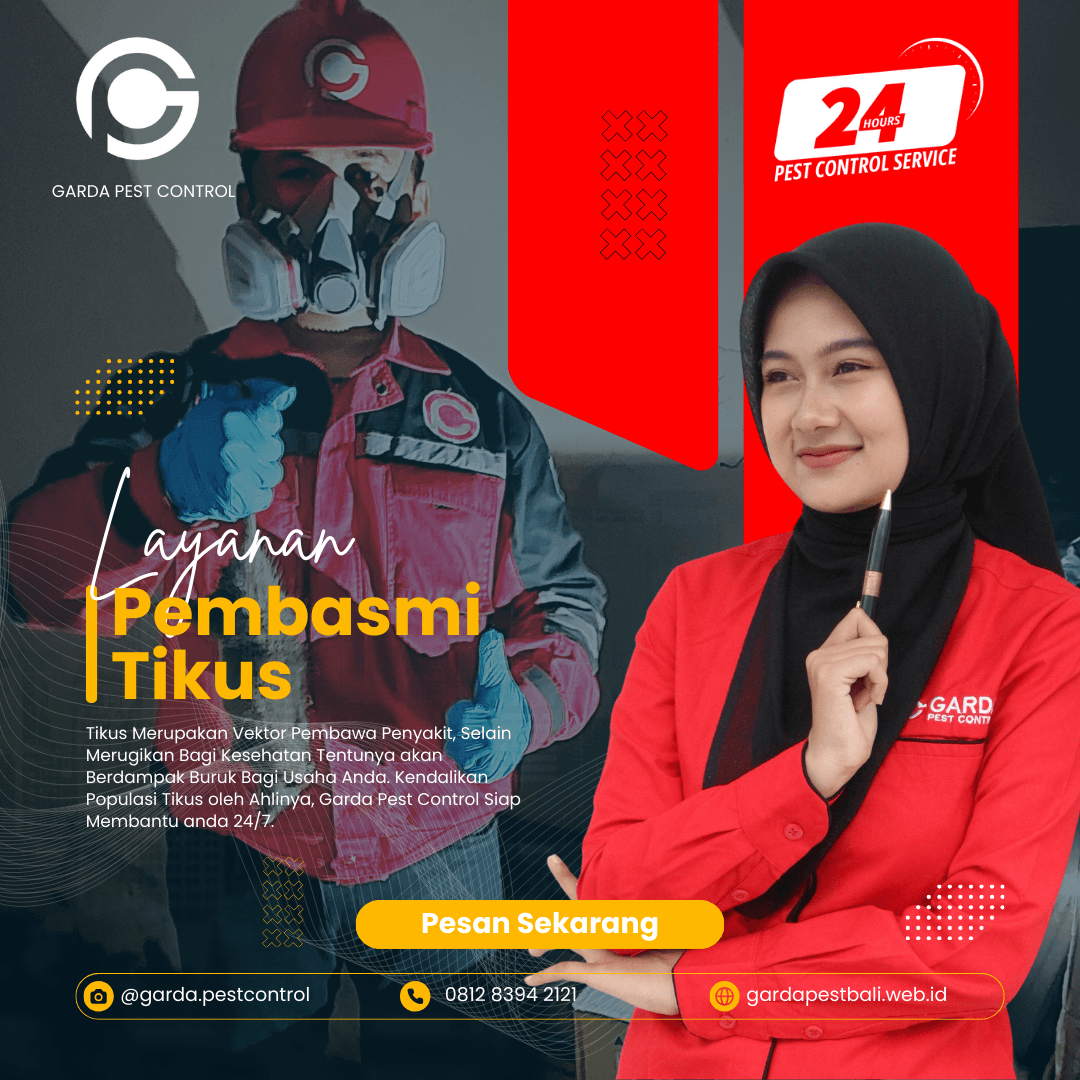 Jasa Pembasmi Tikus di Denpasar Bali Profesional