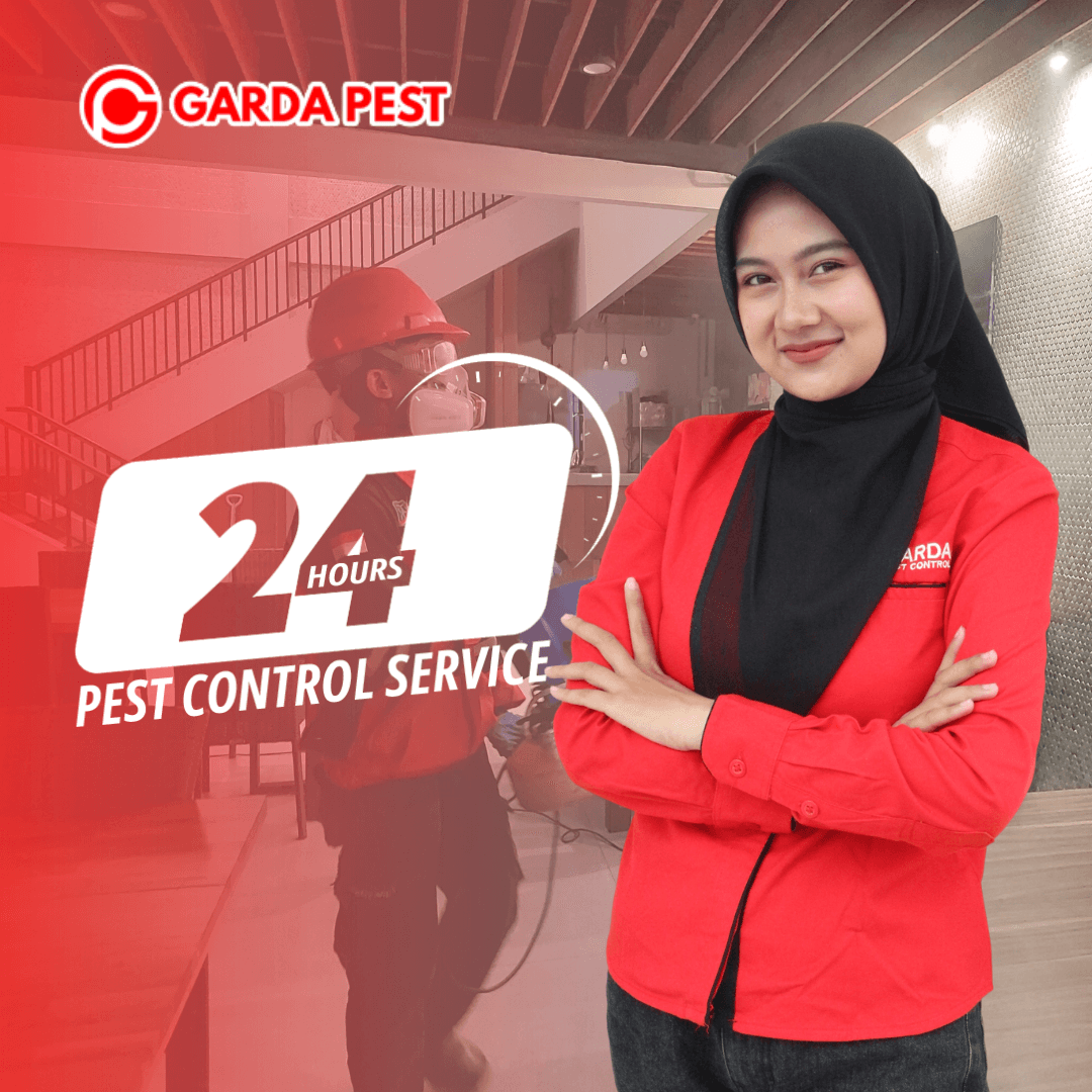 Jasa Fogging Nyamuk Chikungunya di Denpasar 24 Jam