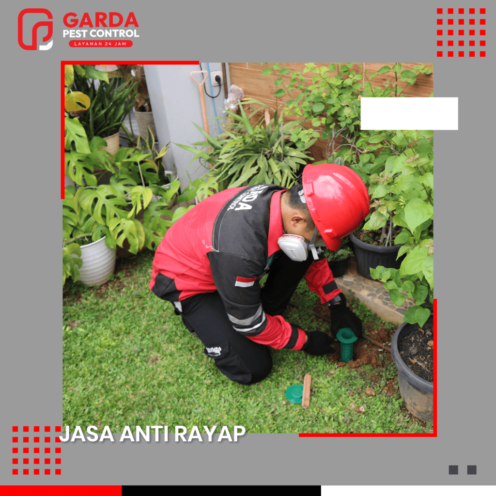 Jasa Anti Rayap di Bali Garansi 3 Hingga 5 Tahun