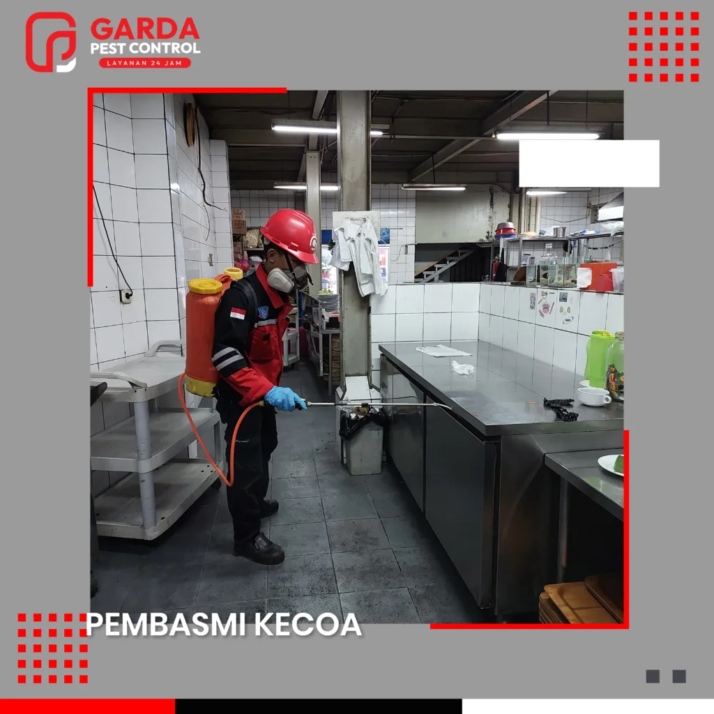 Jasa Pembasmi Kecoa di Bandung Solusi Handal