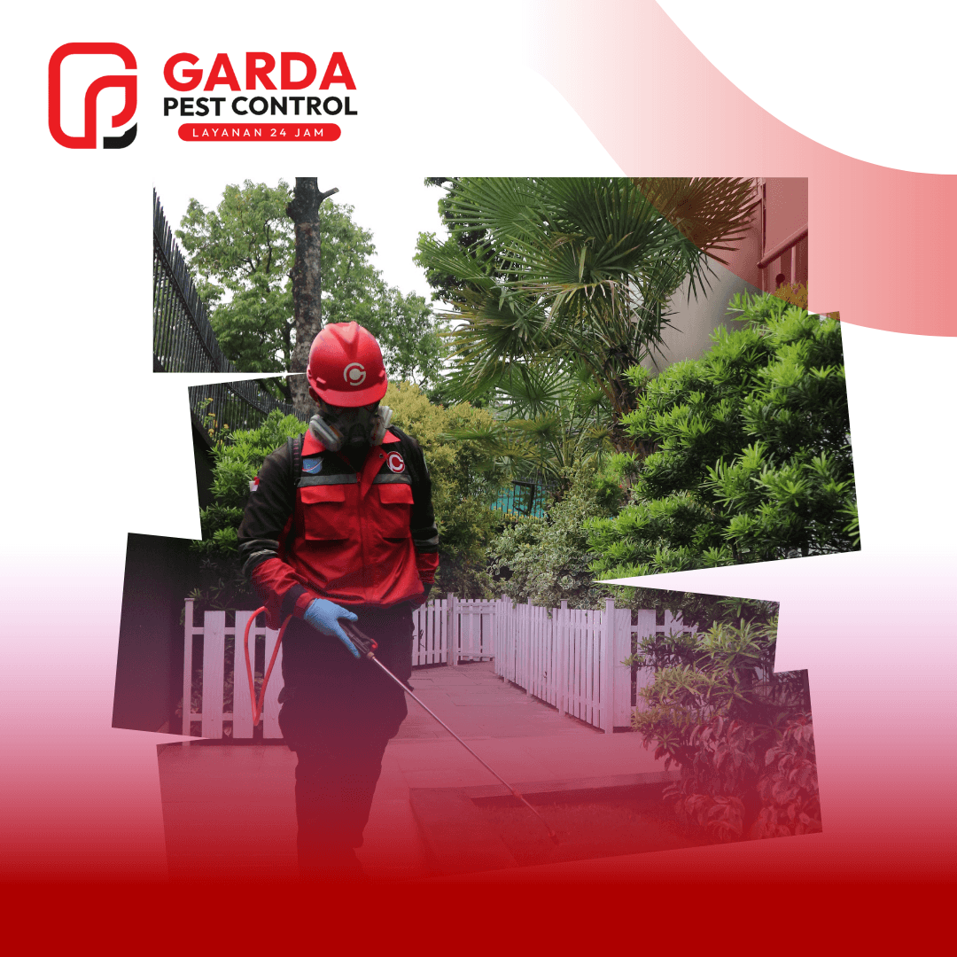 Jasa Pembasmi Hama di Bogor Cepat dan Berkualitas