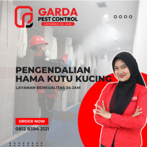 Pest Control Khusus Kutu Hewan Peliharaan di Bali Aman & Higienis