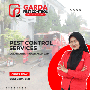 Basmi Tikus & Kecoa Semalam Jasa Pest Control Bali Respon Cepat 24 Jam