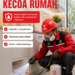 Harga Jasa Pembasmi Kecoa di Bali Untuk Rumah, Kos, dan Usaha
