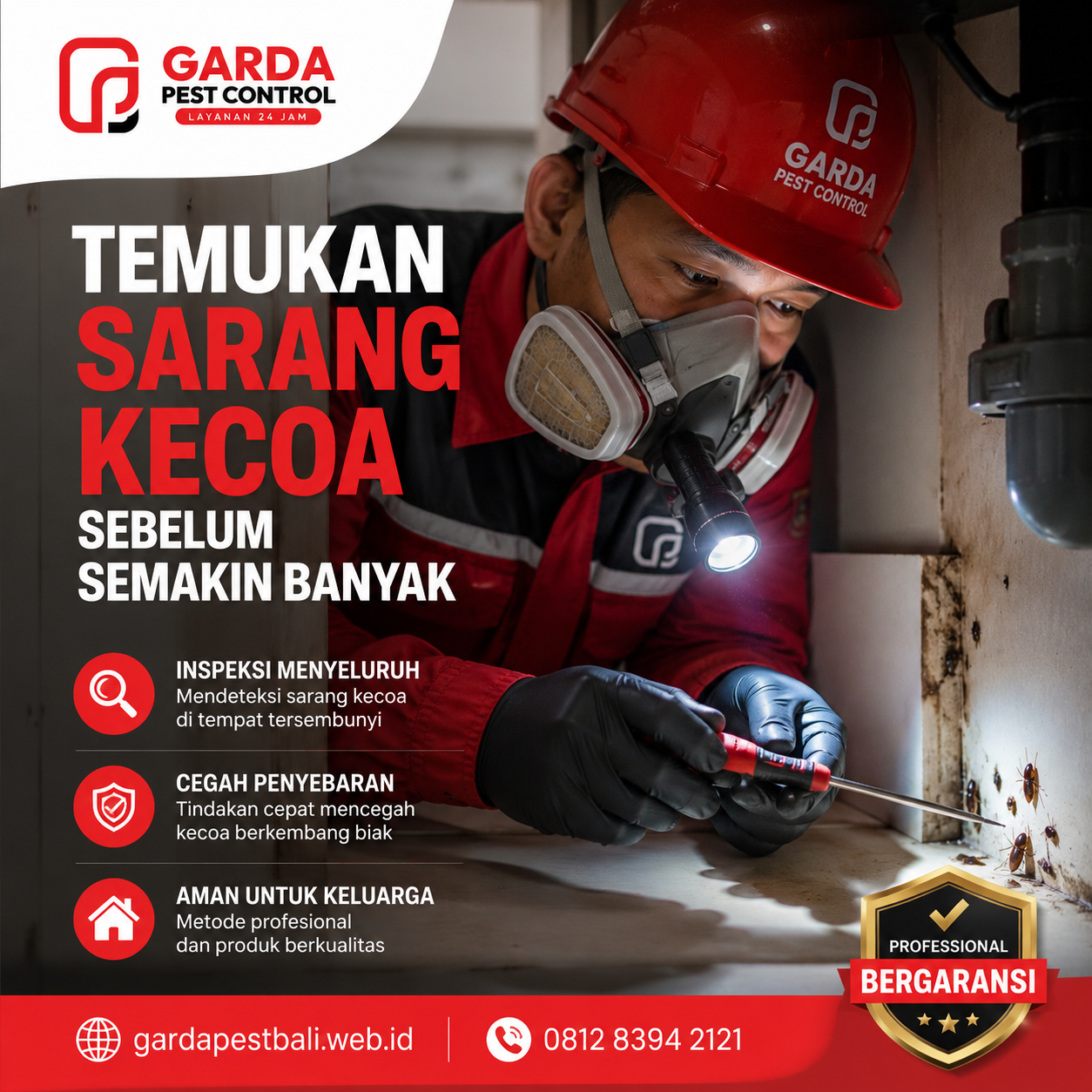 cara memilih jasa pembasmi kecoa yang aman Bali untuk rumah dan usaha yang lebih nyaman