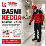 Jasa Anti Kecoa Garansi Bali: Penanganan Profesional untuk Lingkungan Bersih Bebas Kecoa