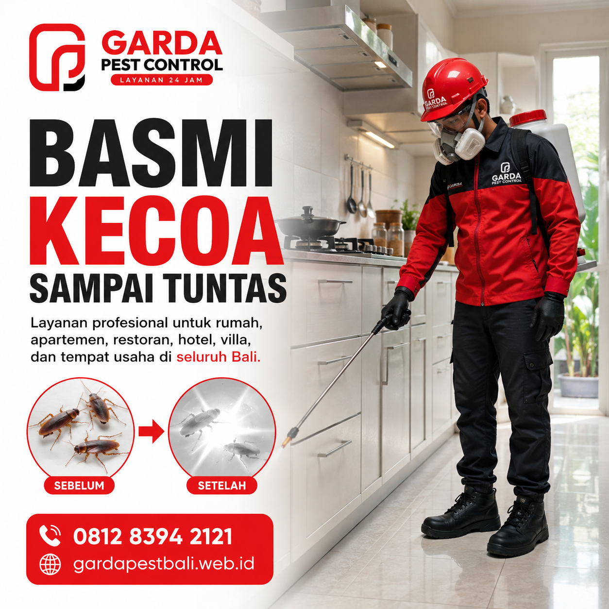 Jasa Anti Kecoa Garansi Bali: Penanganan Profesional untuk Lingkungan Bersih Bebas Kecoa