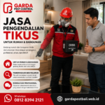 Jasa Pembasmi Tikus untuk Villa dan Hotel di Bali: Perlindungan Tempat Usaha Akomodasi