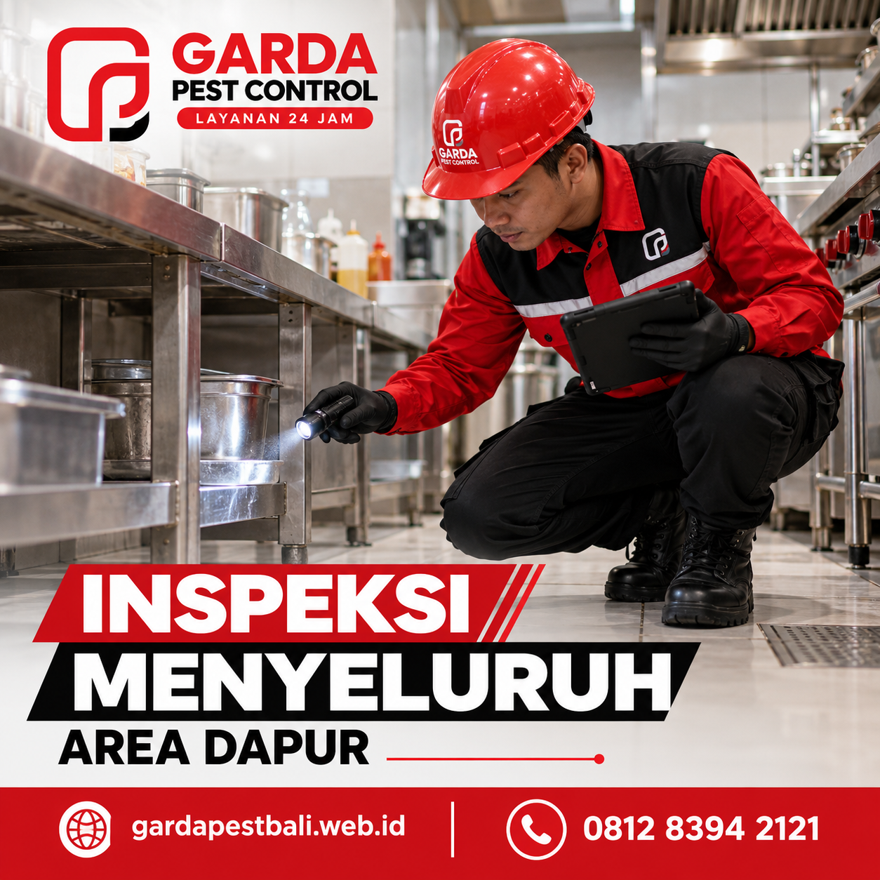 Tanda Infestasi Lalat Parah yang Membutuhkan Pest Control Cepat